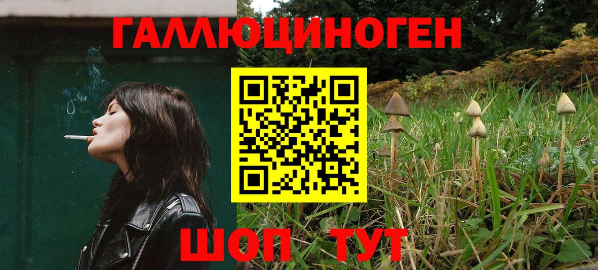 Галлюциногенные грибы GOLDEN TEACHER Красноярск